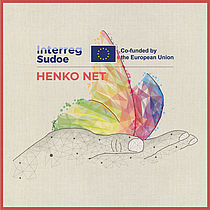 Lire la suite : Pavillon de la Mutualité et sa structure de soins palliatifs L'Estey Mutualité intègrent le projet européen HENKO NET